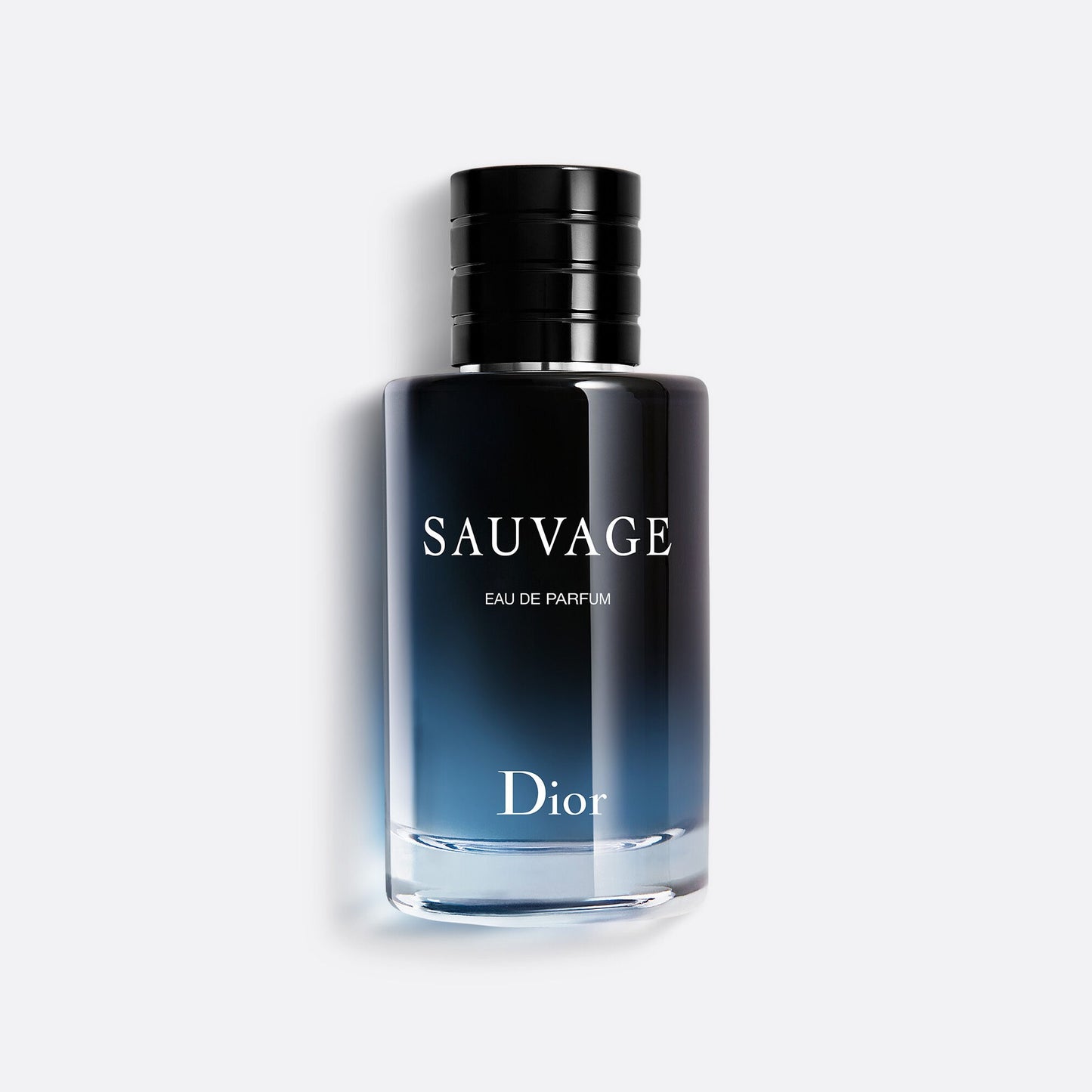 SAUVAGE DIOR EAU DE PARFUM 100ml + OBSEQUIO