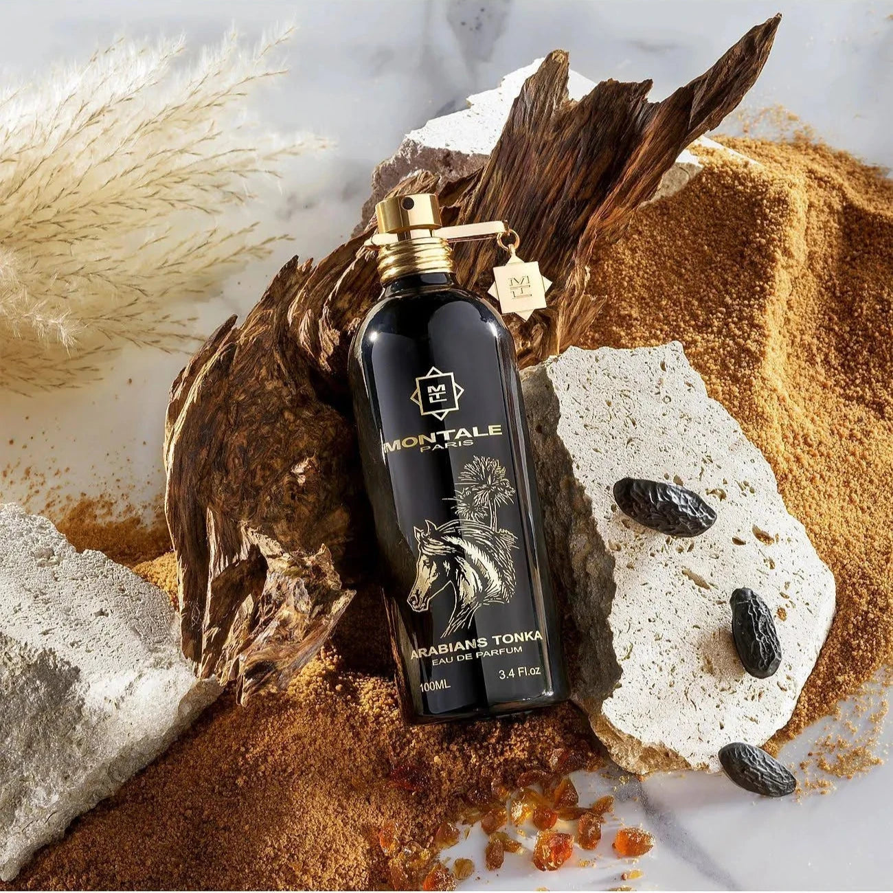 ARABIANS TONKA MONTALE 100ml + OBSEQUIO